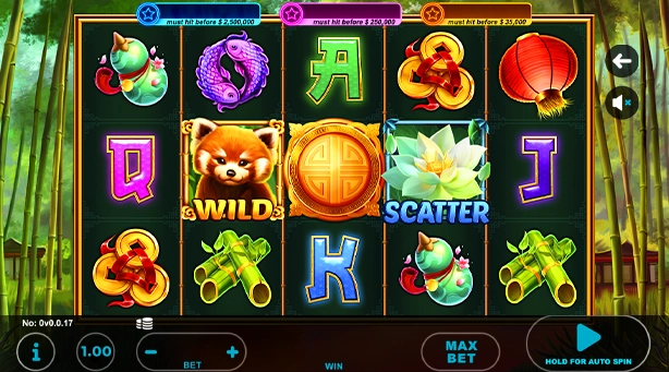 Red Panda