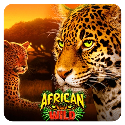 African Wild
