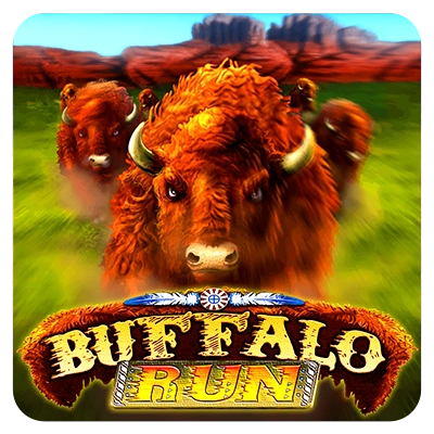 Buffalo Run