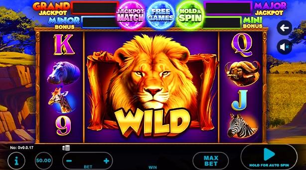 Lion – Savana Wild