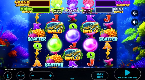 Sea Turtle Deluxe