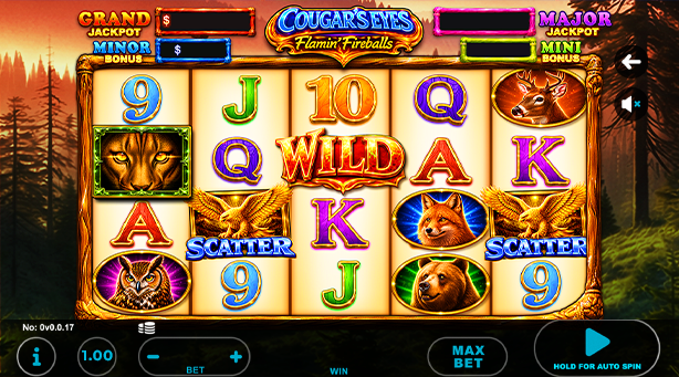 Cougar’s Eyes Flamin Fireballs