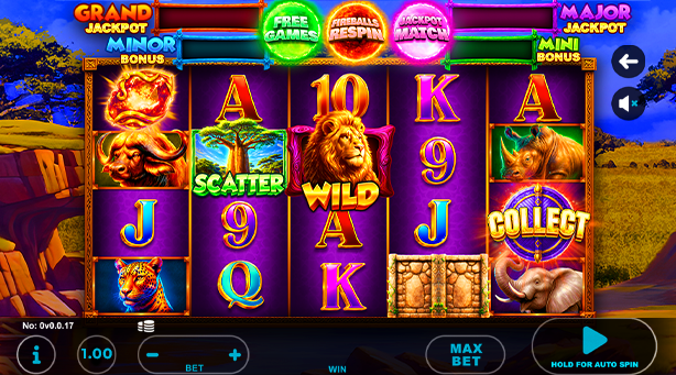 Lion Big 5 Fireballs